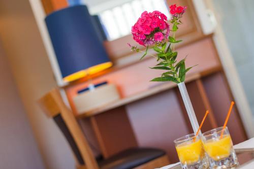 Imagen general del Hotel Restaurant Du Lac De Madine. Foto 3