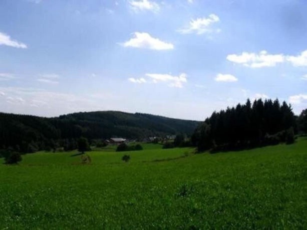 Imagen de los exteriores del Hotel Restaurant Haus Dumicketal. Foto 20