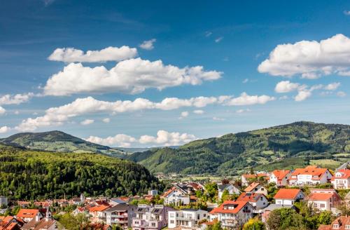 Imagen general del Hotel Restaurant Krone & Wellness - Schopfheim. Foto 4
