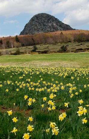 Imagen de los exteriores del Hotel Restaurant La Gravenne. Foto 12