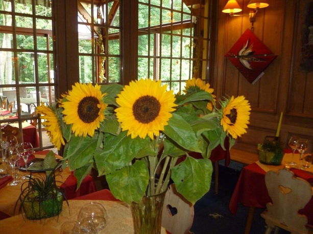 Imagen general del Hotel Restaurant Les Pins. Foto 2