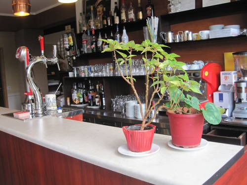 Imagen de la habitación del Hotel Restaurant Rive Gauche. Foto 6