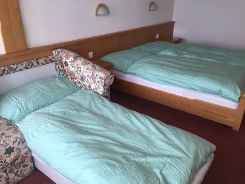 Imagen de la habitación del Hotel Restaurant Rothorn. Foto 9