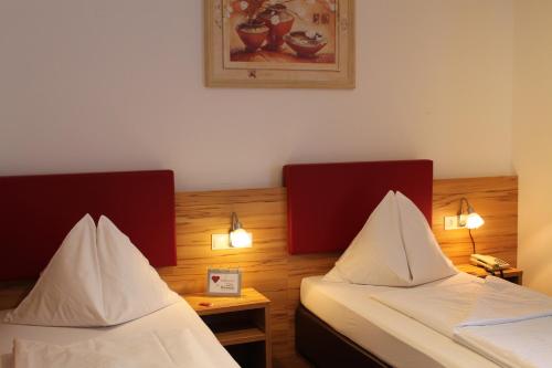 Imagen general del Hotel Restaurant Schwartz. Foto 10