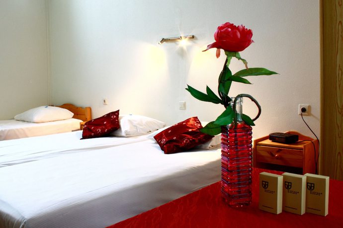 Imagen de la habitación del Hotel Restaurant \'T Holt. Foto 12