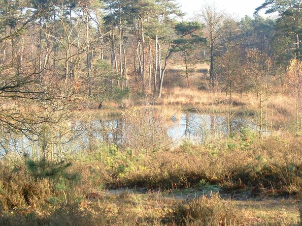 Imagen general del Hotel Restaurant Umberto. Foto 9