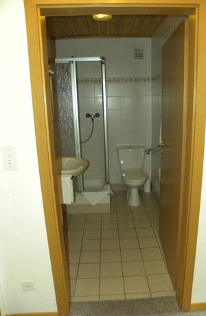 Imagen de la habitación del Hotel Restaurant Walliser Sonne. Foto 12