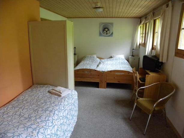 Imagen de la habitación del Hotel Restaurant Walliser Sonne. Foto 14