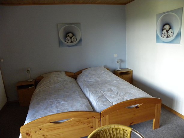 Imagen de la habitación del Hotel Restaurant Walliser Sonne. Foto 15