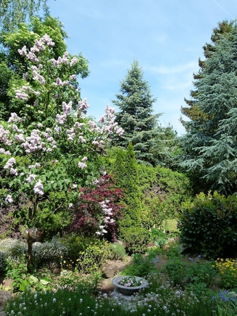 Imagen de los exteriores del Hotel Restaurant Weinlaube. Foto 15