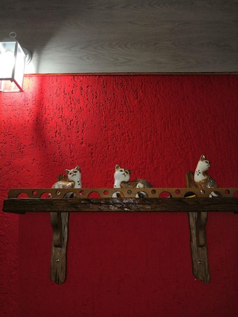 Imagen de la habitación del Hotel Restaurant and hotel complex &laquo;Corsica&raquo;. Foto 14