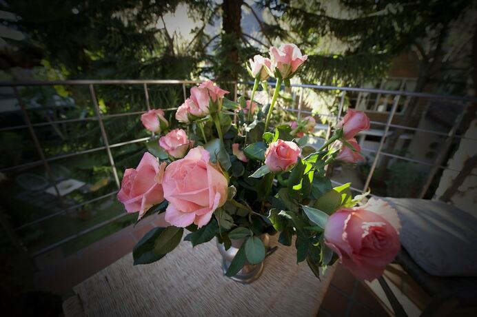 Imagen de la habitación del Hotel Restaurante Casa Lim&oacute;n Malinalco. Foto 18