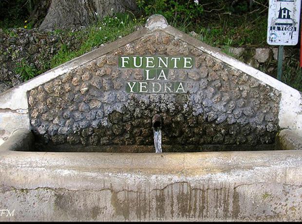 Imagen de los exteriores del Hotel Restaurante La Yedra. Foto 8