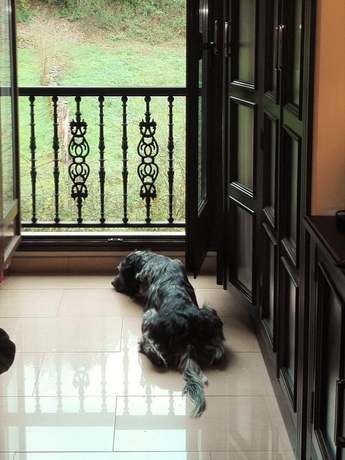 Imagen de los interiores del Hotel Restaurante Ribera Del Chicu. Foto 17