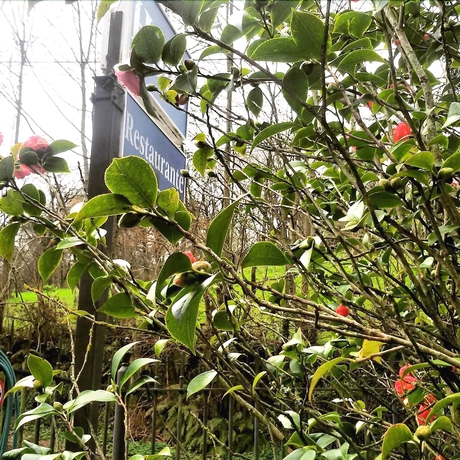 Imagen general del Hotel Restaurante Ribera Del Chicu. Foto 3