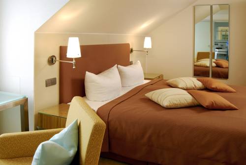 Imagen de la habitación del Hotel Restaurant-hotel Maien. Foto 6