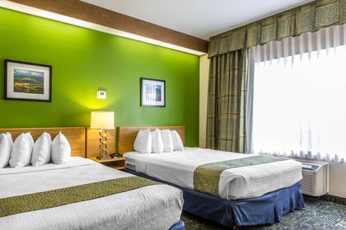 Imagen de la habitación del Hotel Revel Des Moines Urbandale, Tapestry Collection By Hilton. Foto 4