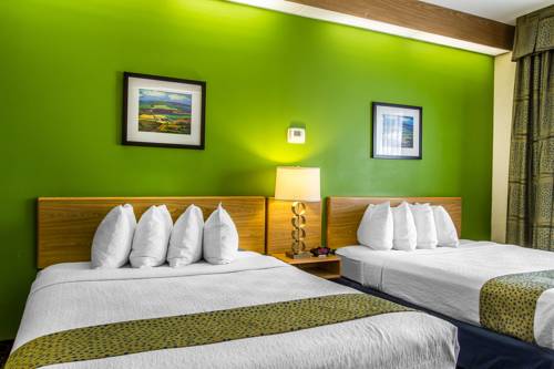 Imagen de la habitación del Hotel Revel Des Moines Urbandale, Tapestry Collection By Hilton. Foto 8