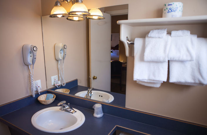 Imagen de la habitación del Hotel Revelstoke Lodge. Foto 8