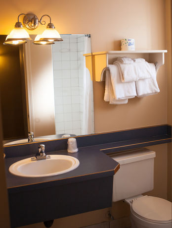 Imagen de la habitación del Hotel Revelstoke Lodge. Foto 14
