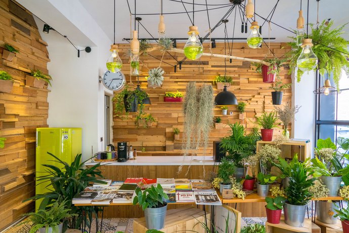 Imagen de los interiores del Hotel Rewood Guesthouse. Foto 13