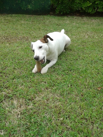 Imagen de los exteriores del Hotel Rex Milano. Foto 11