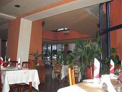 Imagen del bar/restaurante del Hotel Rex, Sighisoara. Foto 1