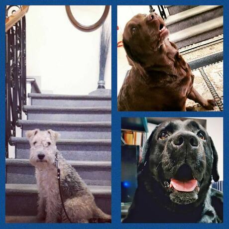 Imagen general del Hotel Rex, Viareggio. Foto 7