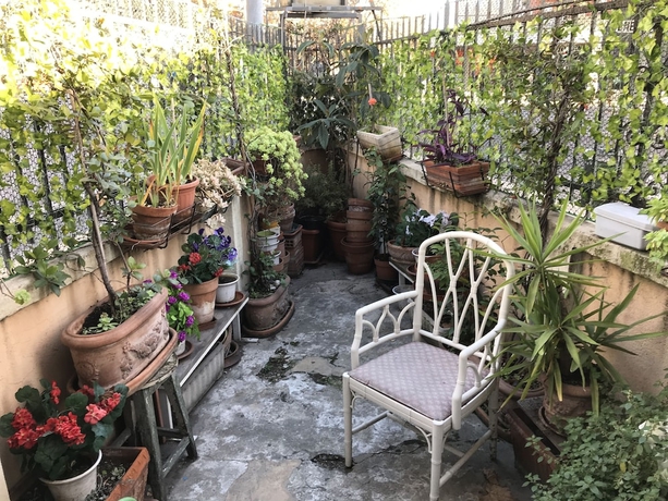Imagen de los interiores del Hotel Rey, Tur&iacute;n. Foto 19
