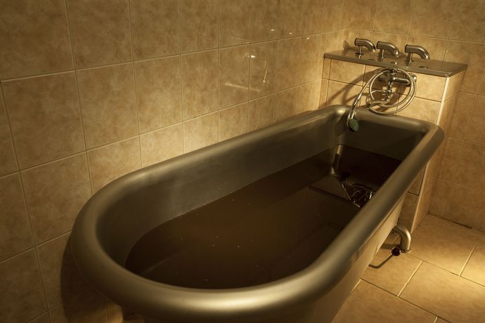 Imagen de la piscina del Hotel Reza. Foto 14