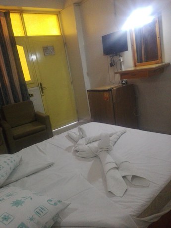 Imagen de la habitación del Hotel Rezeiky And Camp Luxor. Foto 4