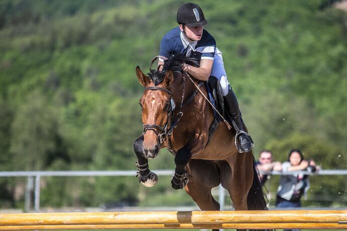 Imagen general del Hotel Rezort Masarykov dvor. Foto 44