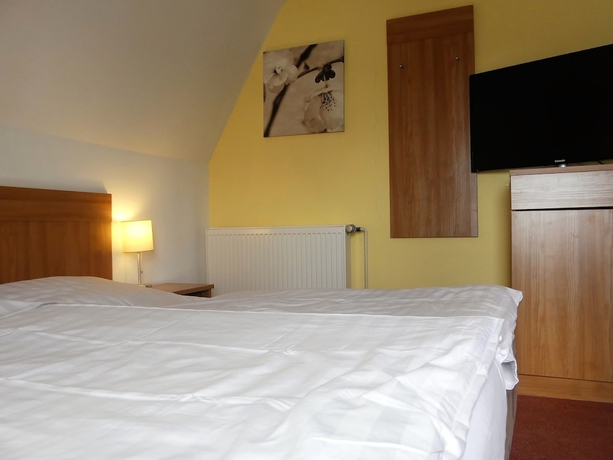 Imagen de la habitación del Hotel Rhein-Hotel St.Martin. Foto 18