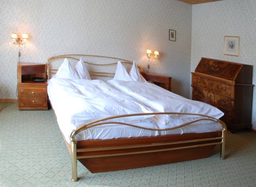 Imagen de la habitación del Hotel Rheinfels, STEIN AM RHEIN. Foto 4
