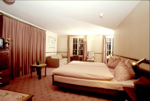 Imagen de la habitación del Hotel Rheinfels, STEIN AM RHEIN. Foto 9