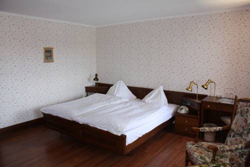 Imagen de la habitación del Hotel Rheinfels, STEIN AM RHEIN. Foto 11