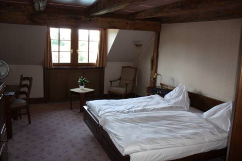 Imagen de la habitación del Hotel Rheinfels, STEIN AM RHEIN. Foto 15