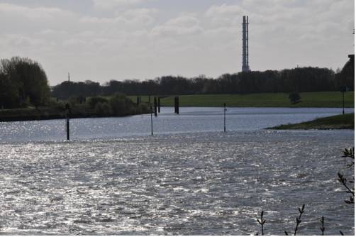Imagen de la habitación del Hotel Rheingarten Duisburg. Foto 5