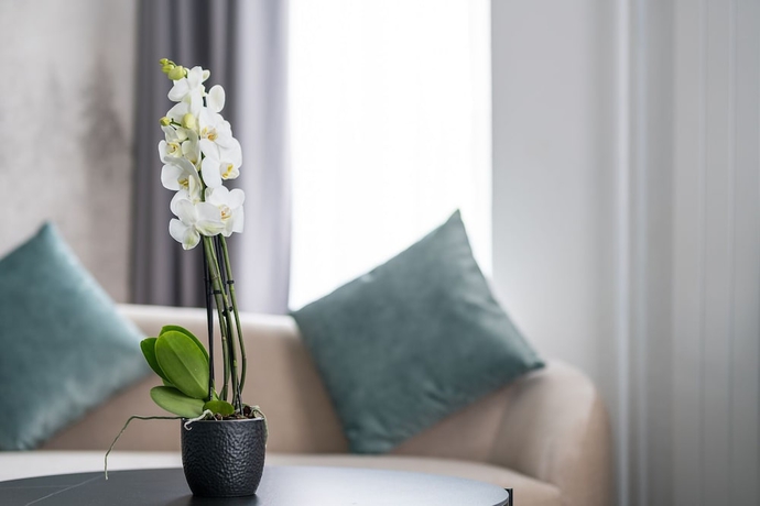 Imagen de la habitación del Hotel Rheingerbe. Foto 10