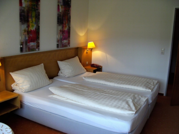 Imagen de la habitación del Hotel Rheingold, Titisee-Neustadt. Foto 7