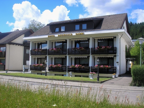 Imagen general del Hotel Rheingold, Titisee-Neustadt. Foto 1