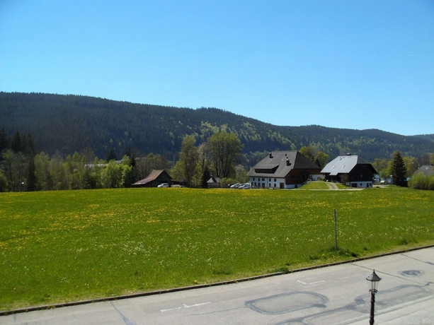 Imagen de los exteriores del Hotel Rheingold, Titisee-Neustadt. Foto 12