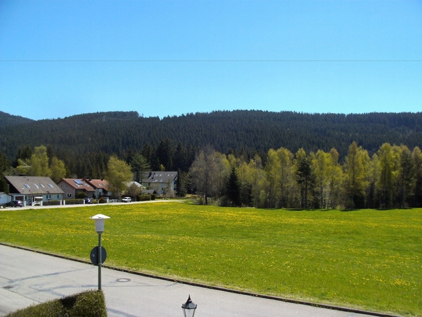 Imagen de los exteriores del Hotel Rheingold, Titisee-Neustadt. Foto 13