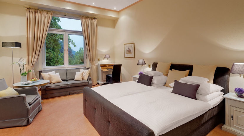 Imagen de la habitación del Hotel Rheinhotel Dreesen. Foto 8