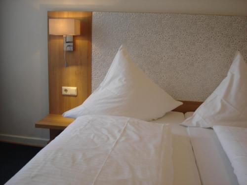 Imagen de la habitación del Hotel Rhein-hotel. Foto 9