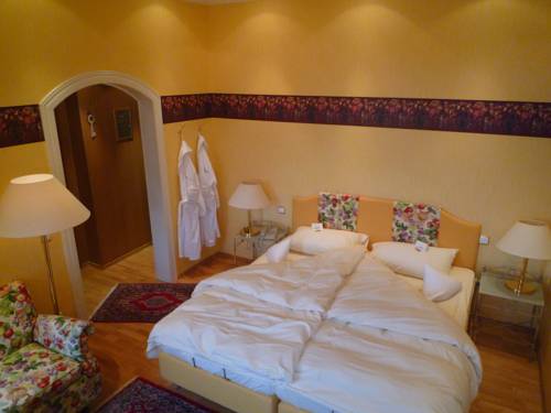 Imagen de la habitación del Hotel Rhein-hotel Nierstein. Foto 12