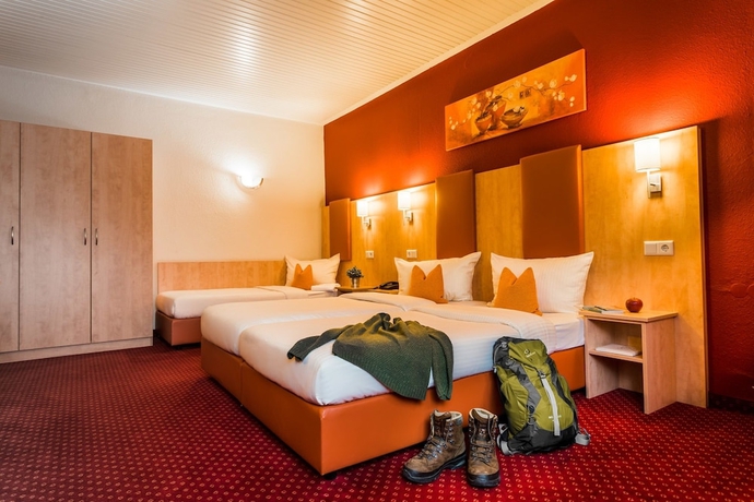 Imagen de la habitación del Hotel Rheinhotel R&uuml;desheim. Foto 5