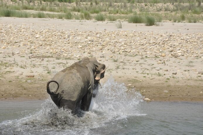 Imagen general del Hotel Rhino Lodge Bardia. Foto 17