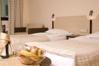 Imagen de la habitación del Hotel Rhodopi Home. Foto 18