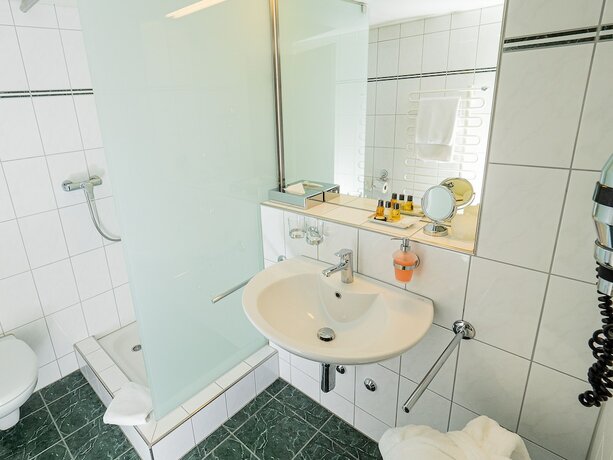 Imagen general del Hotel Rhyhof. Foto 2